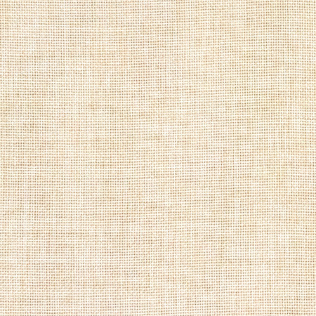 Director's Cut Straw by Carole Designer Fabric Power Play 100% Polyester N/A None 55" - Swanky Fabrics -