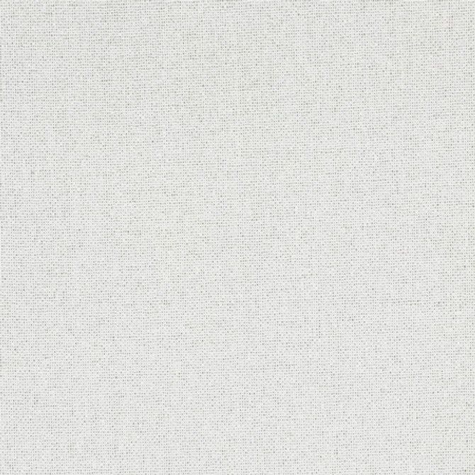 Gusto Ivory by Carole Designer Fabric Power Play 100% Polyester N/A None 55" - Swanky Fabrics -