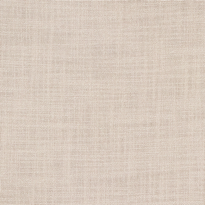 Resourceful Almond by Carole Designer Fabric Reclamation 77% Recycled Polyester, 23% Polyester 12,000 Martindale Circular Rubs None 55" - Swanky Fabrics -