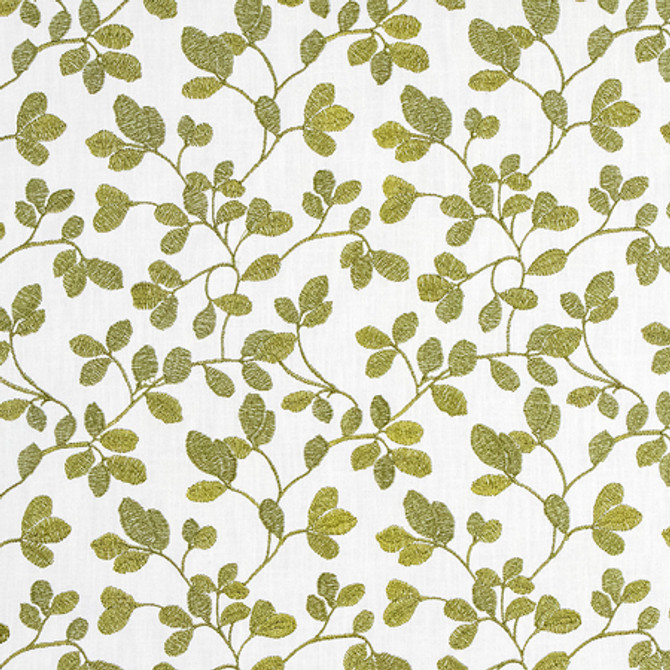 Trunk Show Fern by Carole Designer Fabric Serene Green 52% Cotton, 48% Polyester N/A 9 1/8" V, 6 1/2"H 52" - Swanky Fabrics -