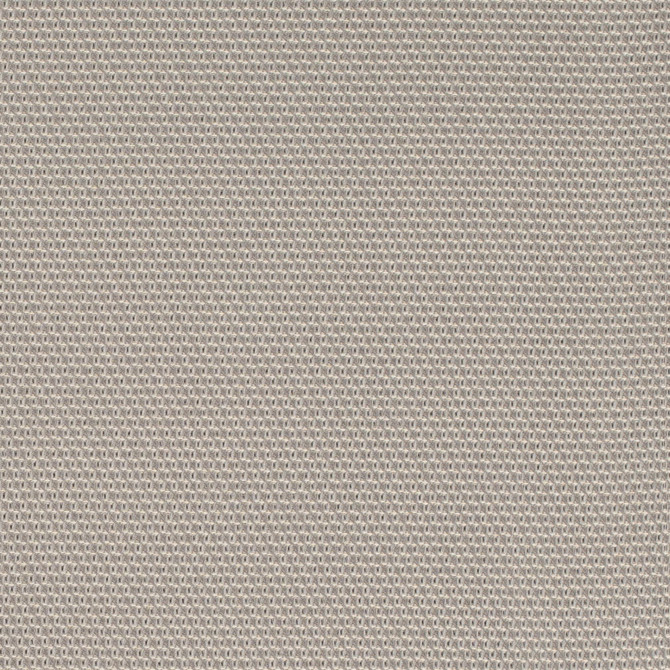 D4624 Platinum by Charlotte Designer Fabric Contract Collective 100% Polyester USA Exceeds 100,000 Wyzenbeek Rubs (Heavy Duty) No Repeat 54 Inches - Swanky Fabrics -