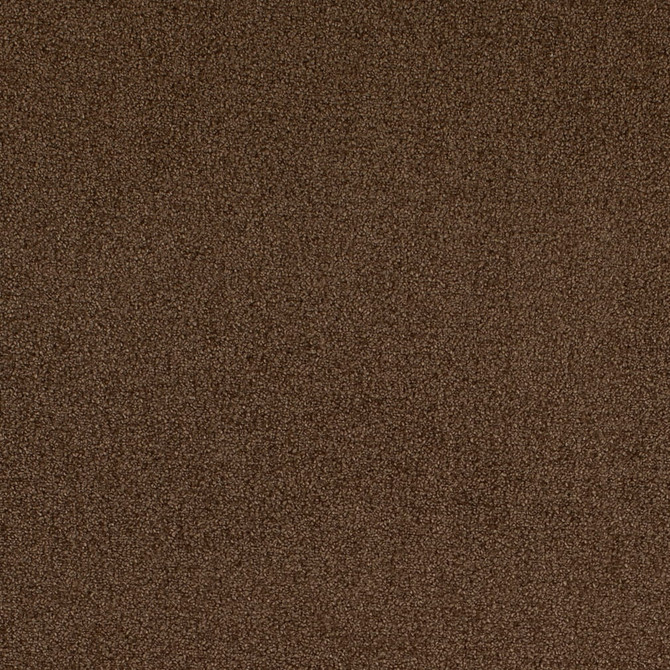 D4667 Pecan by Charlotte Designer Fabric Crypton Mid Century 100% Polyester Finished in USA Exceeds 200,000 Wyzenbeek Rubs (Heavy Duty) No Repeat 54 Inches - Swanky Fabrics -