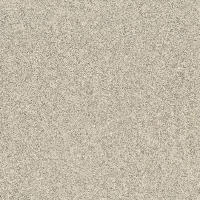 F5889 Ash by Greenhouse Designer Fabric - 100% Polyester China 100000 None 55" - Swanky Fabrics -