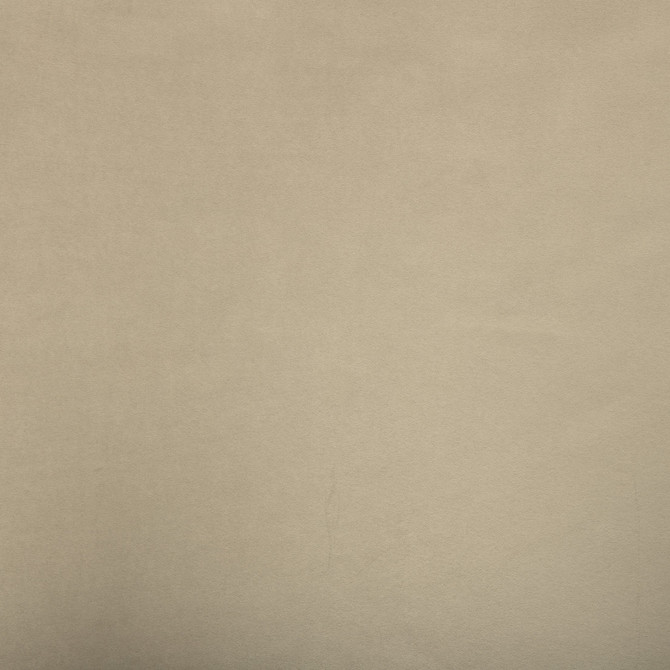 F6061 Focus by Greenhouse Designer Fabric - 100% Polyester China 40000 None 55" - Swanky Fabrics -