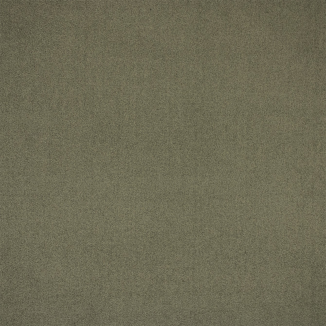 F6401 Sage by Greenhouse Designer Fabric - 100% Polyester China 100000 None 54" - Swanky Fabrics -