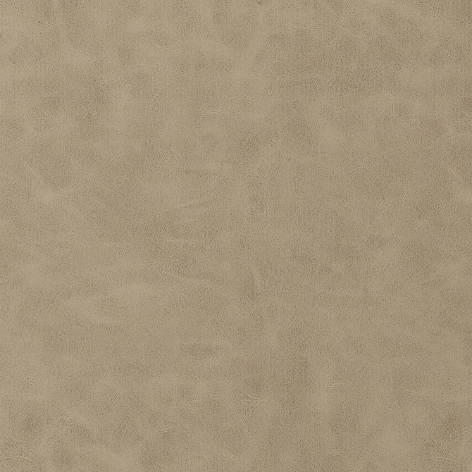 Cabretta Latte W9039 by Thibaut Fabric Thibaut Fabric Cabretta Latte W9039Fabric U.S.A </p><p>Repeat: H: , V: 0 (0.00 cm) 54 in  (137.16 cm) - Fabric Carolina -