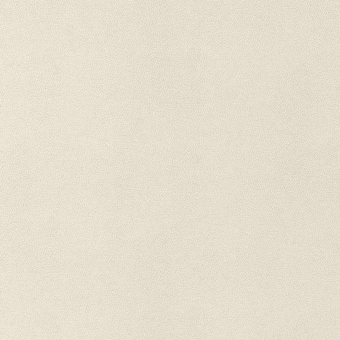 Gaucho Ecru W9049 by Thibaut Fabric Thibaut Fabric Gaucho Ecru W9049Fabric U.S.A </p><p>Repeat: H: , V: 0 (0.00 cm) 54 in  (137.16 cm) - Fabric Carolina -