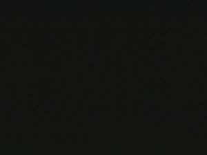 Ebbtide Onyx 99 by Norbar Designer Fabric ALPINE 100% RECYCLED POLYESTER INDIA 55 - Swanky Fabrics -