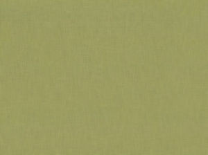 Ebbtide Palm 232 by Norbar Designer Fabric ALPINE 100% RECYCLED POLYESTER INDIA 55 - Swanky Fabrics -