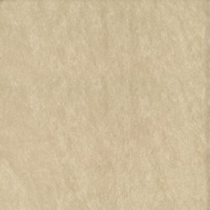 Commodore Oyster 61 by Norbar Designer Fabric COMMODORE 100% POLYESTER 56 - Swanky Fabrics - Commodore Oyster 61 by Norbar Designer Fabric COMMODORE 100% POLYESTER 56 - Swanky Fabrics -