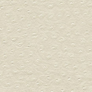 Brandon White by Norbar Designer Fabric EUPHORIA 100% PHTHALATE FREE VINYL S. KOREA 54 - Swanky Fabrics -