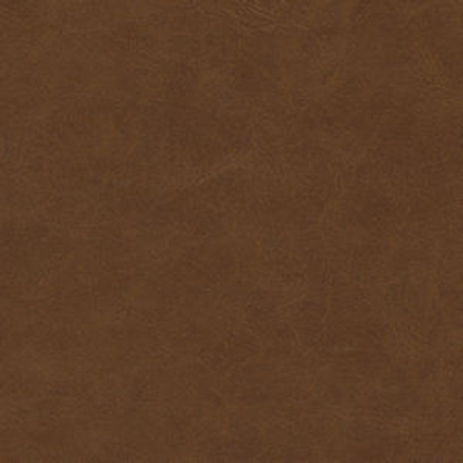 Randolph Rustic by Norbar Designer Fabric EUPHORIA 100% PHTHALATE FREE VINYL S. KOREA 54" - Swanky Fabrics - Randolph Rustic by Norbar Designer Fabric EUPHORIA 100% PHTHALATE FREE VINYL S. KOREA 54" - Swanky Fabrics -