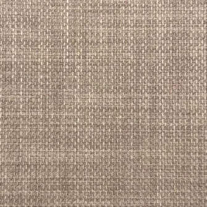Westchester Taupe by Norbar Designer Fabric MIDNIGHT 100% POLYESTER CHINA 55 - Swanky Fabrics - Westchester Taupe by Norbar Designer Fabric MIDNIGHT 100% POLYESTER CHINA 55 - Swanky Fabrics -