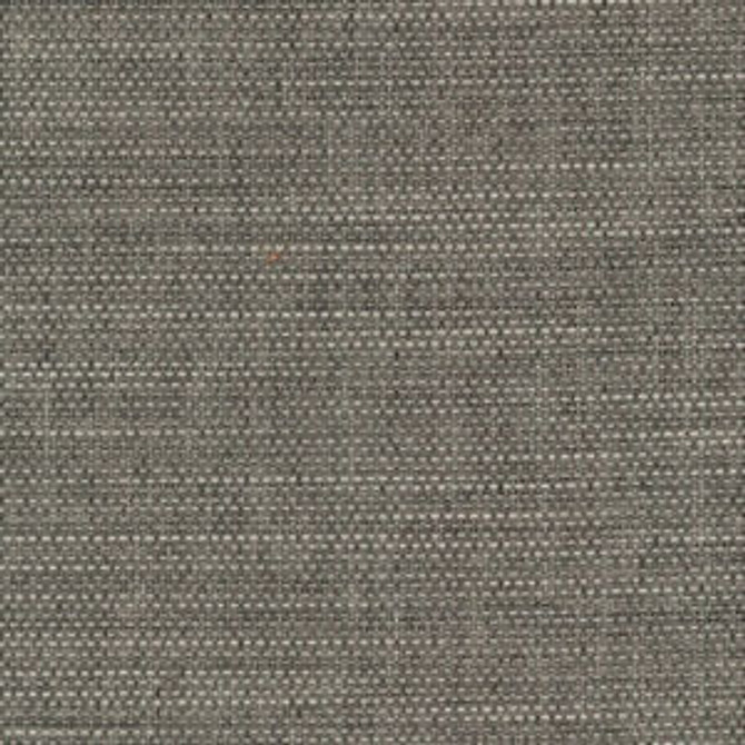 Wade Falcon 47 by Norbar Designer Fabric OKIN 100% POLYESTER NORTH AMERICA 54 - Swanky Fabrics - Wade Falcon 47 by Norbar Designer Fabric OKIN 100% POLYESTER NORTH AMERICA 54 - Swanky Fabrics -