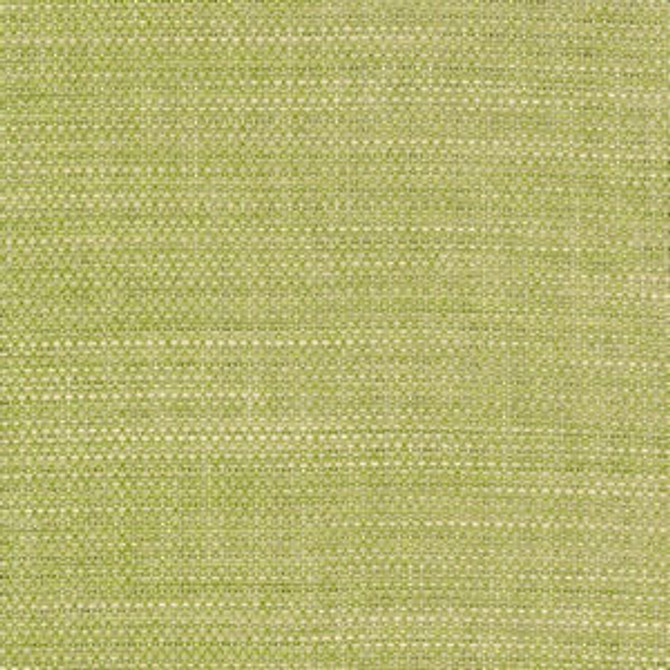 Wade Spring 52 by Norbar Designer Fabric OKIN 100% POLYESTER NORTH AMERICA 54 - Swanky Fabrics - Wade Spring 52 by Norbar Designer Fabric OKIN 100% POLYESTER NORTH AMERICA 54 - Swanky Fabrics -