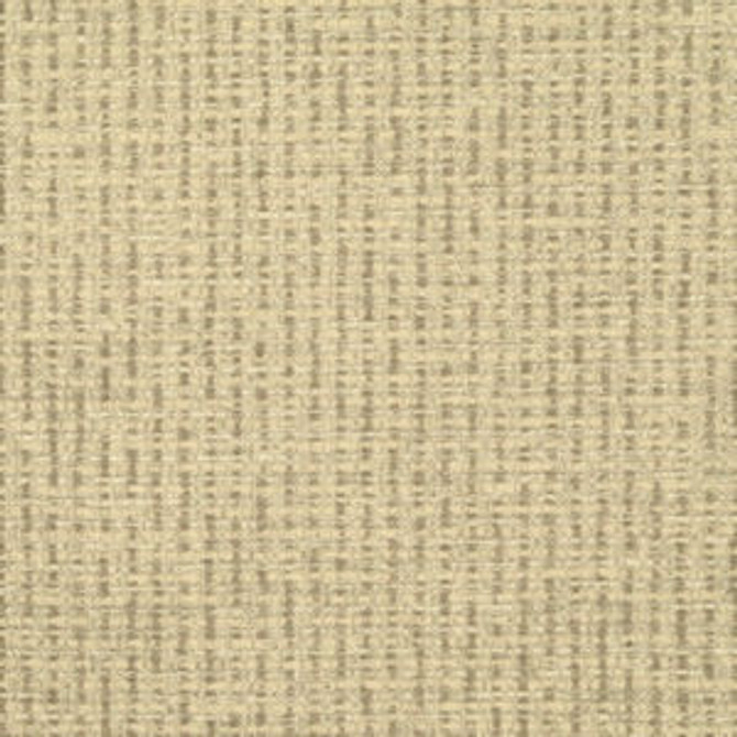 Chauncey Silver 160 by Norbar Designer Fabric PASEO 100% POLYESTER CHINA 1/4"V 1/4"H 54 - Swanky Fabrics - Chauncey Silver 160 by Norbar Designer Fabric PASEO 100% POLYESTER CHINA 1/4"V 1/4"H 54 - Swanky Fabrics -