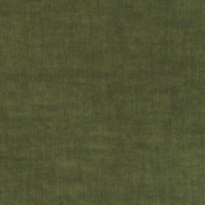 Jansen Jungle 203 by Norbar Designer Fabric PASEO 100% POLYESTER CHINA 54" - Swanky Fabrics -