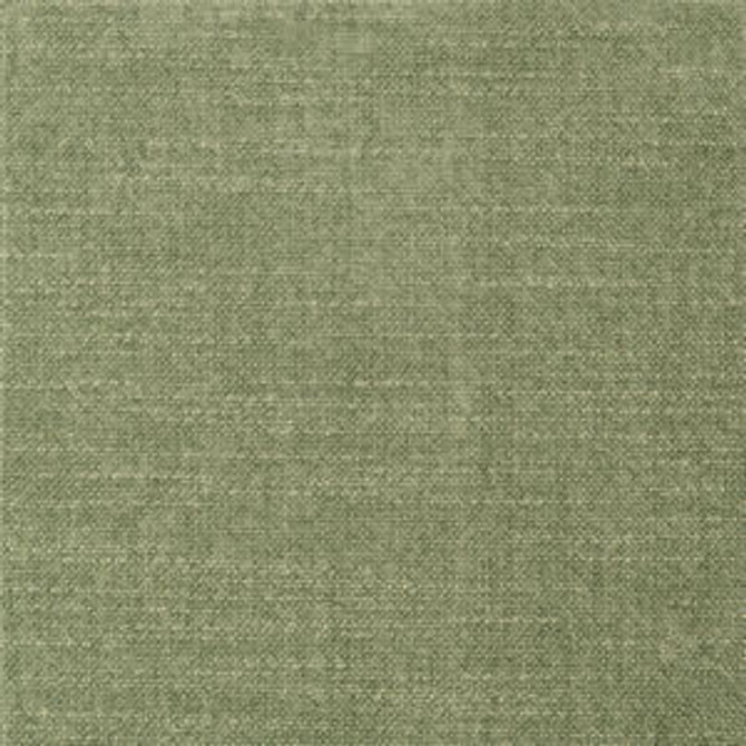 Paseo Green 002 by Norbar Designer Fabric PASEO 92% POLYESTER - 8% RAYON CHINA 54 - Swanky Fabrics - Paseo Green 002 by Norbar Designer Fabric PASEO 92% POLYESTER - 8% RAYON CHINA 54 - Swanky Fabrics -