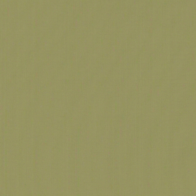 Belcourt Desert Bloom 472713 by PK Lifestyles Designer Fabric PKL Studio June 2025 52% Fire Retardant Polyester, 48% Polyester Turkey 18000 H: N/A, V: N/A 57 - Swanky Fabrics -