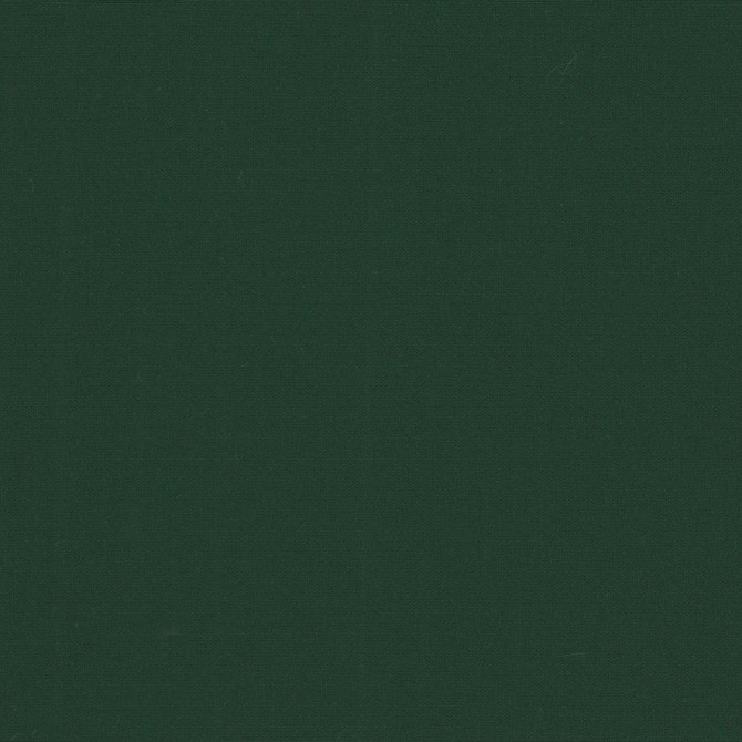 Belcourt Balsam 472730 by PK Lifestyles Designer Fabric PKL Studio June 2025 52% Fire Retardant Polyester, 48% Polyester Turkey 18000 H: N/A, V: N/A 57 - Swanky Fabrics -