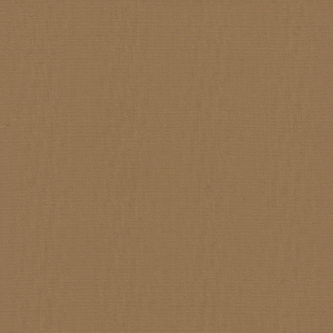Belcourt Cgnac 472747 by PK Lifestyles Designer Fabric PKL Studio June 2025 52% Fire Retardant Polyester, 48% Polyester Turkey 18000 H: N/A, V: N/A 57 - Swanky Fabrics -