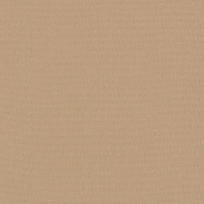 Belcourt Peach 472748 by PK Lifestyles Designer Fabric PKL Studio June 2025 52% Fire Retardant Polyester, 48% Polyester Turkey 18000 H: N/A, V: N/A 57 - Swanky Fabrics -