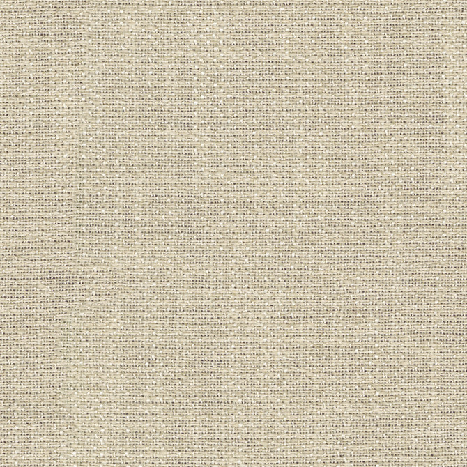 Zachary Sheer Champagne 472452 by PK Lifestyles Designer Fabric Portiere VI 100% Polyester India N/A H: N/A, V: N/A 118 - Swanky Fabrics -