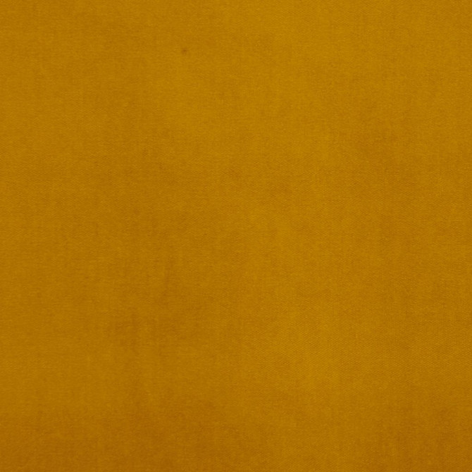 Deluxe Cotton Velvet Mustard by RM CoCo Designer Fabric Deluxe II 100% Cotton Face 100% Polyester Backing See Sample 100000 Horizontal: 0 and Vertical: 0 54 - Swanky Fabrics -