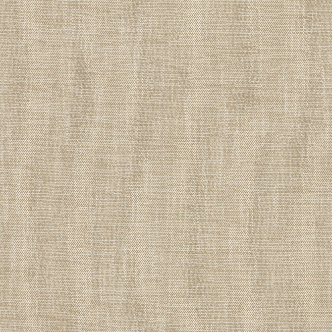 Capri Macadamia by RM CoCo Designer Fabric Island Breeze II InsideOut Performance 96.26% Polyester UV 3.74% PCR Polyester UV See Sample 63000 Horizontal: 0.13 and Vertical: 0.13 55.25 - Swanky Fabrics -