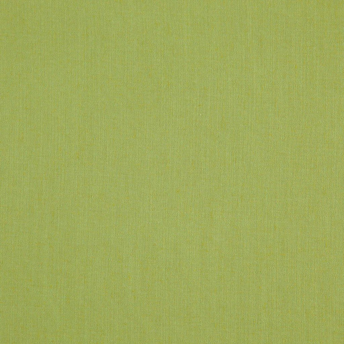 Landen Fern by RM CoCo Designer Fabric Landen 95% Polyester 5% Linen See Sample 110000 Horizontal: 0 and Vertical: 0 57 - Swanky Fabrics -