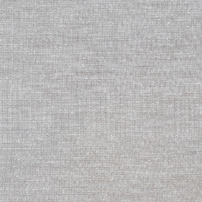 Sensational Pewter by Carole Designer Fabric Best Dressed 100% Polyester N/A None 54" - Swanky Fabrics -