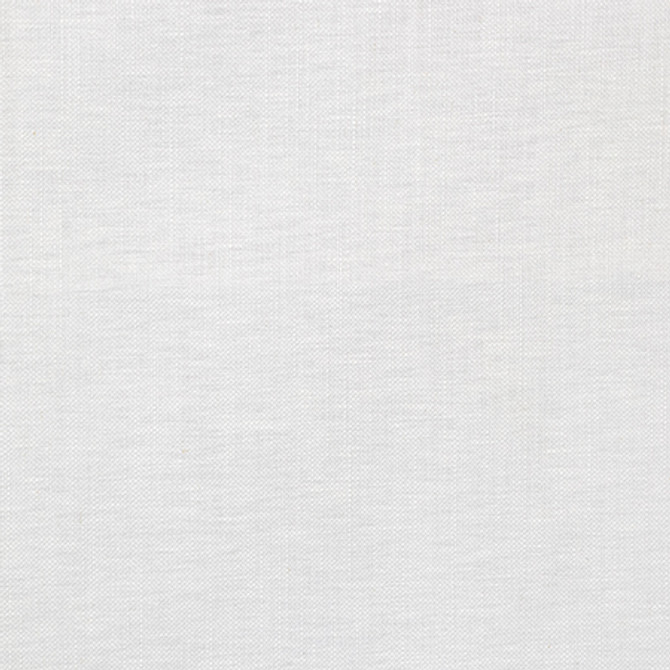 Hobbs Cloud by Carole Designer Fabric Suit Yourself 69% Recycled Polyester, 26% Cotton, 5% Linen 51,000 Wyzenbeek Double Rubs None 54" - Swanky Fabrics -