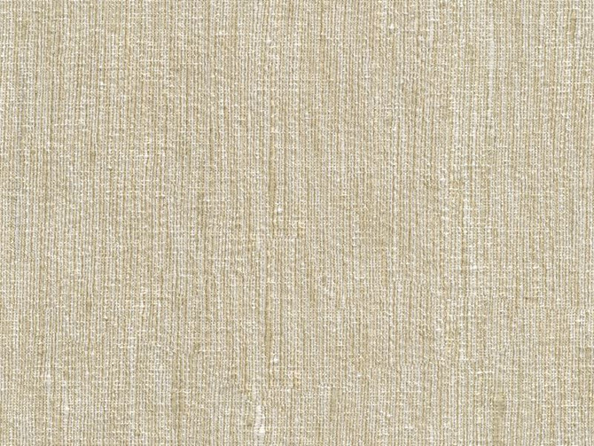 33281.1116 by Kravet Basics Designer Fabric in our sample Polyester 100% India Heavy Horizontal: See Sample and Vertical: See Sample 54 inches - Swanky Fabrics -