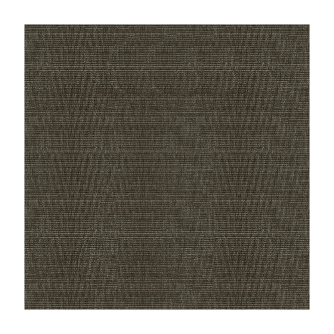 34191-811 by Kravet Smart Designer Fabric POLYESTER - 100% China HEAVY Horizontal: and Vertical: 56 - Swanky Fabrics -