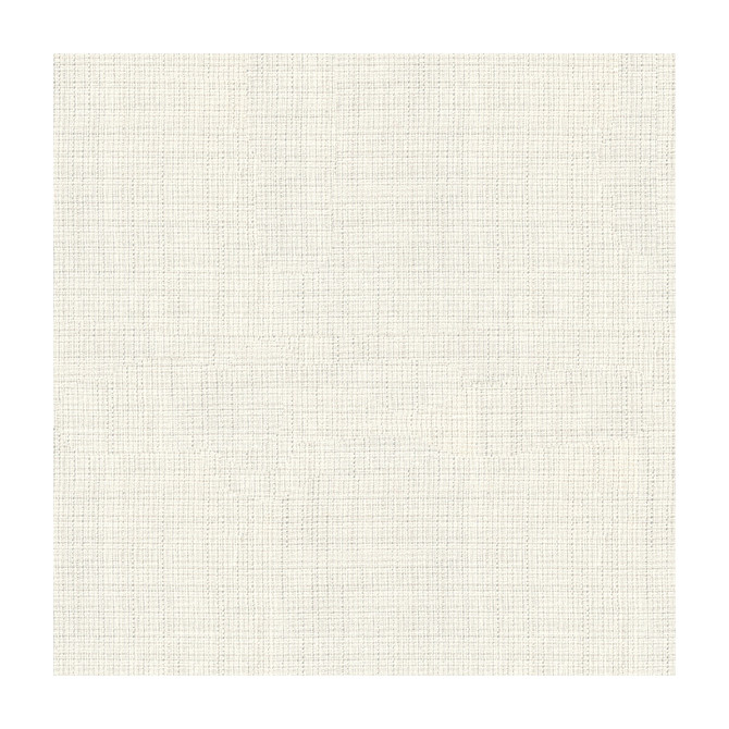 4106-101 by Kravet Basics Designer Fabric POLYESTER - 100% Turkey Horizontal: and Vertical: 118 - Swanky Fabrics -