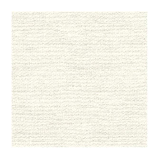 Kravet Basics 34083-101 by Kravet Basics Fabric Kravet Basics Fabric Kravet Basics 34083-101Fabric POLYESTER - 100% India </p><p>Repeat: H: , V: 54 - Fabric Carolina -