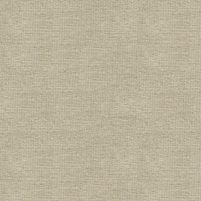 33876-1611 by Kravet Contract Designer Fabric CRYPTON INCASE RAYON - 72%;POLYESTER - 28% United States HEAVY Horizontal: - and Vertical: - 55 - Swanky Fabrics -