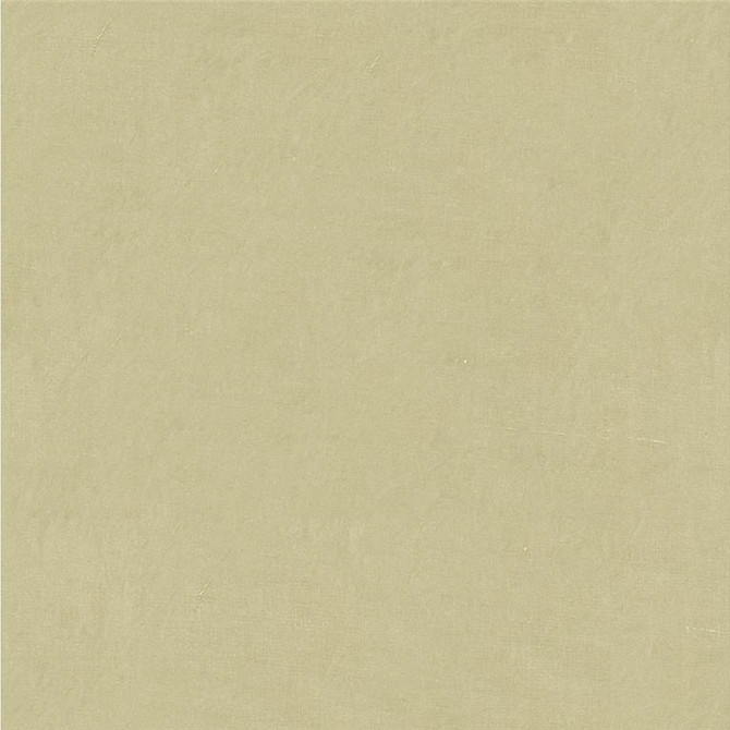 4070.1121 by Kravet Design Designer Fabric - Silk 100% India - H" -, V: - 53.5 inches  - Swanky Fabrics -  Kravet Design