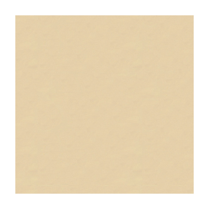 4070-116 by Kravet Design Designer Fabric - SILK - 100% India - Horizontal: - and Vertical: - 53.5 - Swanky Fabrics -