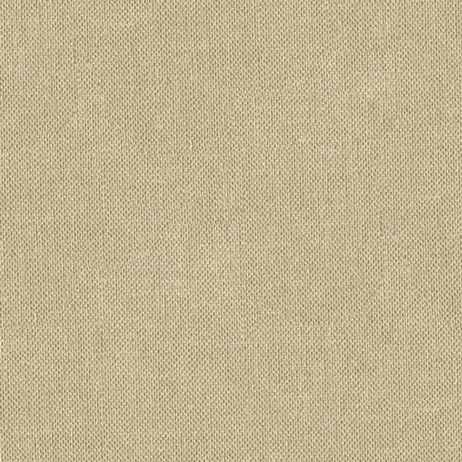 33120.1616 by Kravet Basics Designer Fabric in our sample Polyester 100% India Heavy Horizontal: See Sample and Vertical: See Sample 56 inches - Swanky Fabrics -
