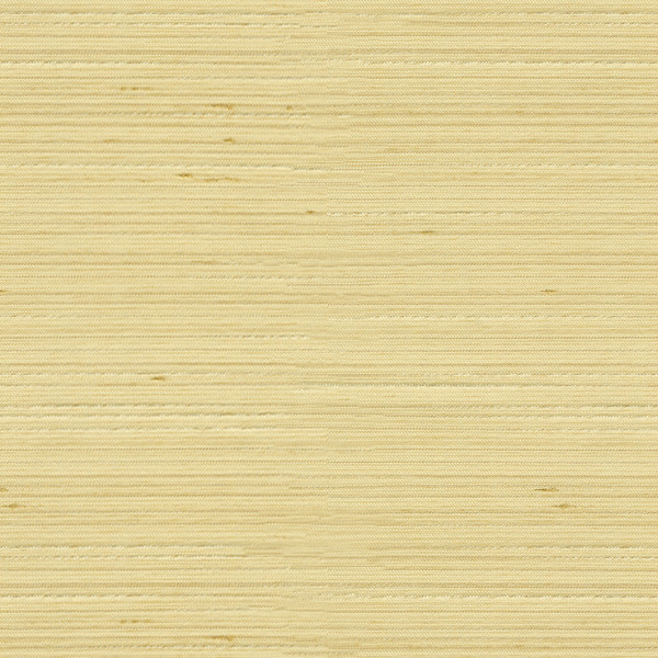 3808.1116 by Kravet Basics Designer Fabric - Polyester 100% India - H" -, V: - 54 inches  - Swanky Fabrics -  Kravet Basics