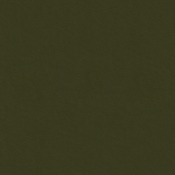 32565.811 by Kravet Smart Designer Fabric Gis Polyester 83%, Cotton 17% Korea, Republic of Heavy Horizontal: see sample and Vertical: see sample 55 inches - Swanky Fabrics -