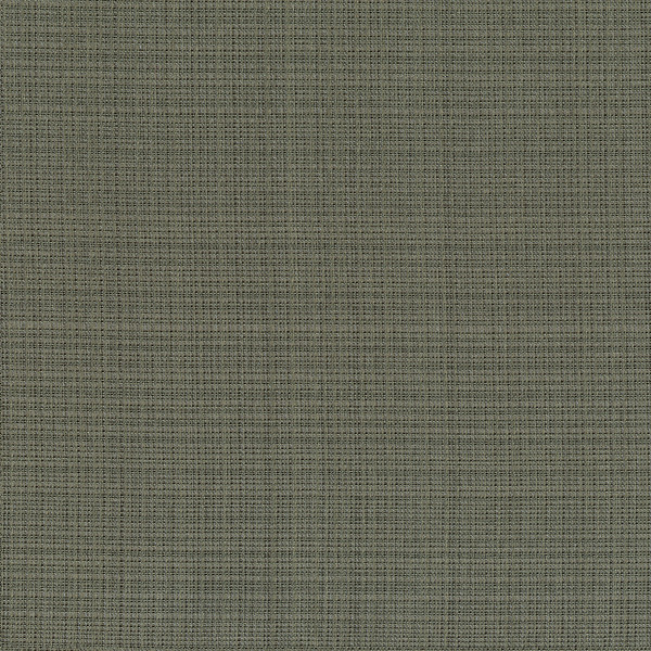 3645.21 by Kravet Couture Designer Fabric in our sample Silk 69%, Viscose 24%, Polyester 7% India See Sample Horizontal: See Sample and Vertical: See Sample 55 inches - Swanky Fabrics -