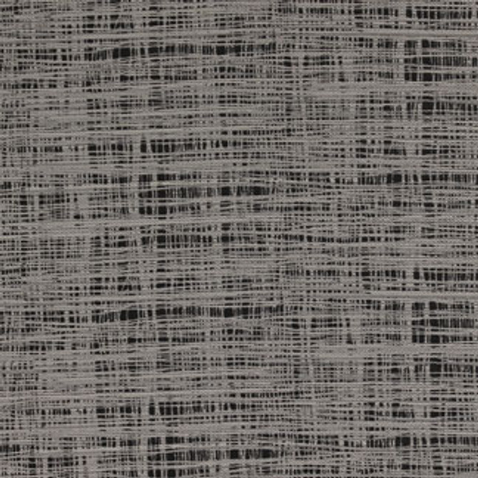 Teller Chalkboard 1283411010 by Carole Designer Fabric Exclusive Intuition 100% Polyester-heatset Usa H: NONE 55" Minimum (See sample for specifics) - Swanky Fabrics- Carole Exclusive