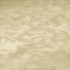 Braccio Taupe  by Kasmir Designer Fabric 5126 100% Polyester
 INDIA 30,000 Wyzenbeek Double Rubs Horizontal: N/A and Vertical: N/A 54  - Swanky Fabrics -