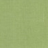Pinnacle Grass by Kasmir Designer Fabric 5046 100% Polyester INDIA 102,000 Wyzenbeek Double Rubs Horizontal: 0 Inches and Vertical: 0 Inches 54 - 55 - Swanky Fabrics -