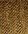 Eugene Tobacco M7824 by Barrow Designer Fabric 2872 67% RAYON 22% POLYESTER 11% COTTON CHINA 15,000 DOUBLE RUBS </p><p>Repeat: Horizontal: N/A and Vertical: N/A 54" Minimum - Swanky Fabrics -