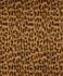 Elijah Leopard M9343 by Barrow Designer Fabric 13CL02 59% RAYON (S) 41% POLYESTER (F) CHINA 12,000 DOUBLE RUBS </p><p>Repeat: Horizontal: 13-1/2" and Vertical: 6-3/4" 54" Minimum - Swanky Fabrics -