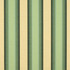 4856 Colonnade Juniper by Sunbrella Designer Fabric Sunbrella Awning Stripes 100% Sunbrella® Acrylic USA or Imported 10-Year Horizontal: and Vertical: 46 in. - Swanky Fabrics -