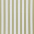 Falsetto 75J7611 by JF Designer Fabric Le Cirque Book 59% Cotton, 41% Polyester India 50000 Horizontal: 2 and Vertical: 55 - Swanky Fabrics -